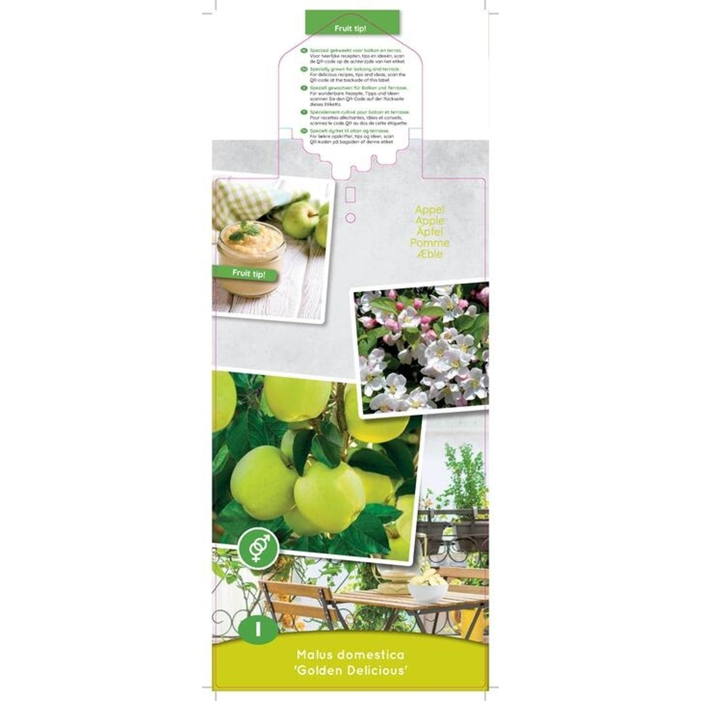 Äpple – Malus domestica 'Golden Delicious' - C5 60-80 CM Patio